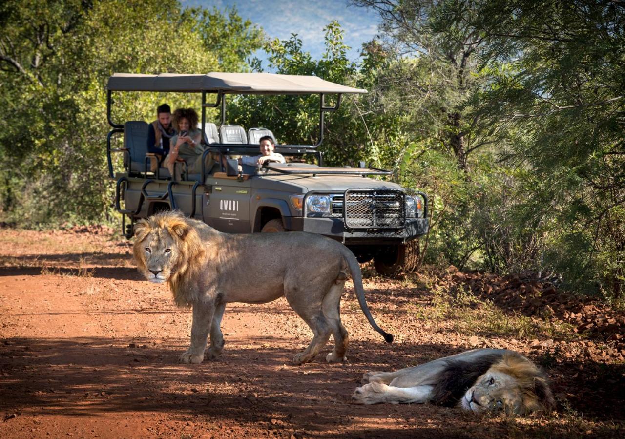 Babohi At Qwabi Private Game Reserve By Newmark Bela-Bela Exteriör bild